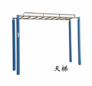 新國(guó)標(biāo)天梯